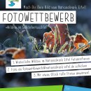 Flyer 2
