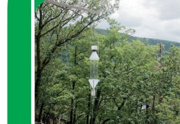 "Forschung im Nationalpark Eifel"