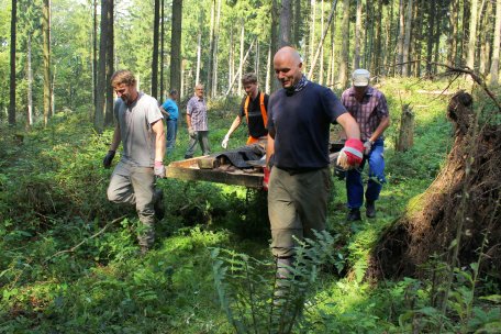 Foto: Nationalparkverwaltung Eifel / M. Weisgerber