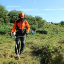 Foto: Nationalparkverwaltung Eifel / M. Weisgerber