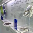 Foto: Nationalparkverwaltung Eifel / M. Weisgerber