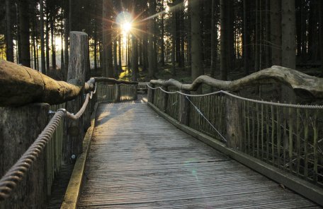 Foto: Nationalparkverwaltung Eifel / M. Weisgerber