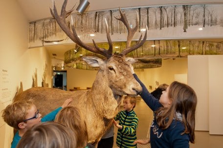 Foto: Roman Hövel / Vogelsang IP