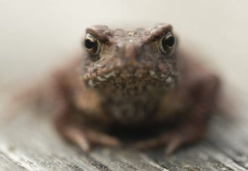 Fotoworkshop im Nationalpark-Zentrum Eifel