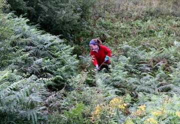 Freiwillger Einsatz für naturnahe Wälder im Nationalpark Eifel