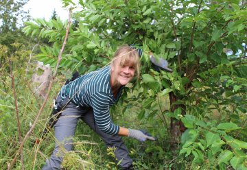 Freiwillige des Bergwaldprojektes im Einsatz für den Nationalpark Eifel