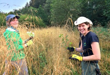 Freiwillige vom Bergwaldprojekt engagieren sich für Blauschillernden Feuerfalter im Nationalpark Eifel