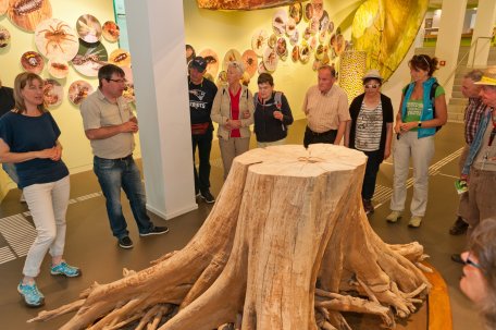 Gebärdengruppe NPZ-11 © Vogelsang IP-Roman Hövel.jpg