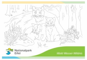 Gegen Langeweile in Corona-Zeiten...