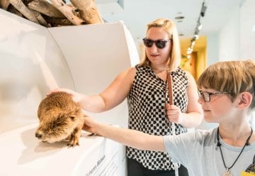 Gemeinsames Engagement für den barrierefreien Tourismus – neue Angebote ab 2021