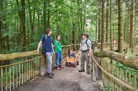 German-language ranger tours take place in the Eifel National Park almost every day. They are free of charge and do not need to be booked in advance.