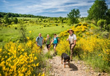 Ginsterblütenfest und Europäischer Tag der Parke am 8. und 9. Juni in Schleiden-Dreiborn