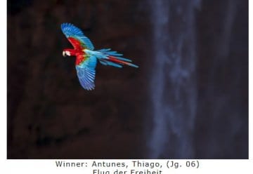  „Glanzlichter der Naturfotografie 2024“ zu Gast im Nationalpark-Zentrum Eifel