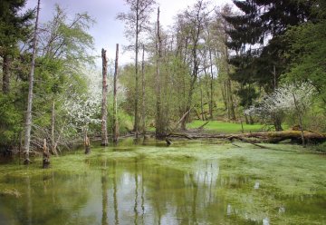 Große Vielfalt auf kleinem Raum