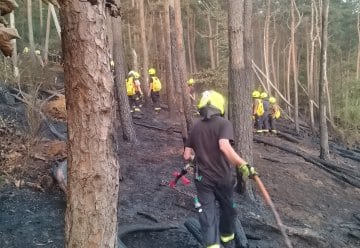 Große Vorsicht bei Waldbesuchen – weiterhin Gefahr von Waldbränden im Nationalpark Eifel