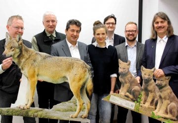Heimkehrer Wolf – wie bereiten wir uns besser vor?