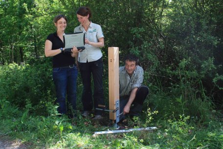 Hemma Preisel von der BOKU Wien, Projektleiterin Sylvia Montag aus der Nationalparkverwaltung Eifel und Ranger Rainer Rainartz installieren diese Woche die Besucherzählgeräte im Nationalpark Eifel.