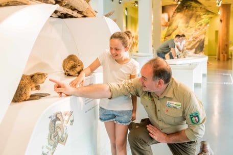 Het Nationaal Parkccentrum Eifel biedt rondleidingen, speciale programma's voor groepen, schoolklassen en kleuters en veel barrièrevrijheid.