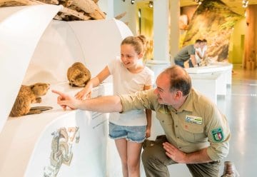 Het Nationaal Parkccentrum Eifel biedt rondleidingen, speciale programma's voor groepen, schoolklassen en kleuters en veel barrièrevrijheid.