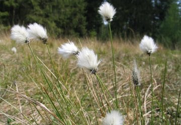 Hier fehlt noch eine Beschreibung