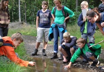 Im Nationalpark Eifel können Kinder, Jugendliche und Familien auf ganz unterschiedliche Weise die Natur entdecken.