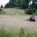 Im ehemaligen Truppenübungsplatz Vogelsang inmitten des Nationalparks Eifel hat das jährliche Mähen der Offenland-Biotope begonnen.