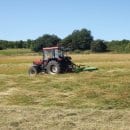Im ehemaligen Truppenübungsplatz Vogelsang inmitten des Nationalparks Eifel hat das jährliche Mähen der Offenland-Biotope begonnen.
