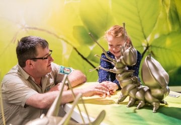 In den Herbstferien: Spiel und Spaß rund um das Thema „Wildnis(t)räume“ im Nationalpark-Eifel