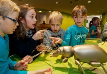 In den "Wildnis(t)räumen" verlieren Kinder Berührungsängste.
