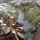 In der Stoppelsief, einem Seitental des Wüstebaches, sollen Anteile an Totholz die Gewässerstruktur anreichern. Foto: Biologische Station StädteRegion Aachen