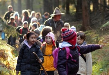In der Wildniswerkstatt Düttling beschäftigen wir uns mit der entstehenden Wildnis im Nationalpark Eifel.