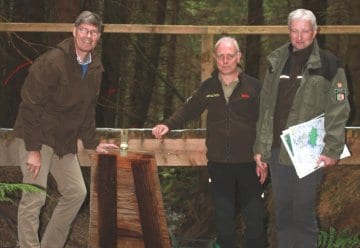 Informationen zu Talentfichtungen im südlichen Nationalpark