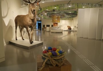 Informations-Netzwerk in der Nationalpark-Region