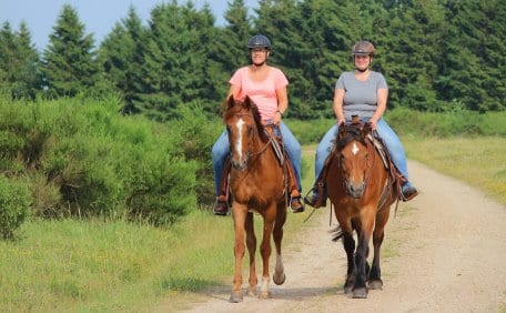 Insgesamt 65 Kilometer Reitspuren sind im Gebiet des Nationalparks Eifel ausgewiesen und stehen Naturfreunden zu Pferd zur Verfügung.