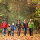 Insgesamt sind fast 40 Ranger im Nationalpark Eifel tätig. Ihre Aufgabenliste ist lang: Sie reicht von der Gebietskontrolle, geführten Wanderungen und der Unterstützung bei Forschungen bis hin zum Bau und der Unterhaltung von Bänken und Wegweisern. Auch f