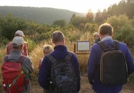 Insgesamt zehn Stationen laden dazu ein, sich mit biblischen und weltlichen Texten auseinander zu setzen.
