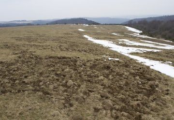 Jagd auf Wildschweine in Kooperation mit Nationalpark-Nachbarn