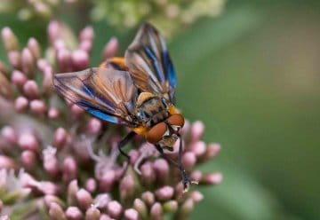 Jahresrückblick 2014 - Alles Gute für 2015!