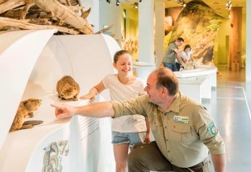 Johannistag im Nationalpark-Zentrum Eifel