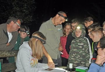 Junior Ranger mit Forschern unterwegs im Nationalpark Eifel: Einmal Fledermäuse aus der Nähe sehen 