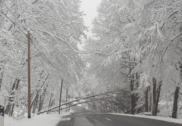 Kermeter-Hochstraße im Nationalpark Eifel wegen Schneebruch gesperrt