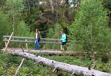 Kurzfristige Sperrungen am Wilden Weg
