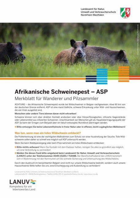 LANUV_Handout_Merkblatt.jpg