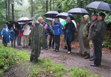Landeskabinett Nordrhein-Westfalen erwandert Nationalpark Eifel (PM vom 23. August 2008)