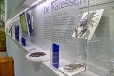 “Lebensadern der Natur” (Nature’s Lifelines) exhibition