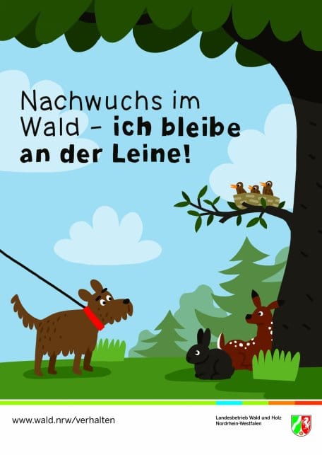 Leinen an statt &quot;Leinen los&quot; - das ist das Motto für Hundehalter, die im Nationalpark Eifel unterwegs sind.