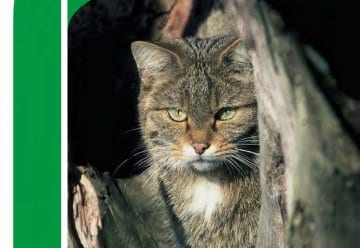 Lesetipp: Nationalparkplan Band 2 &quot;Bestandsanalyse&quot;