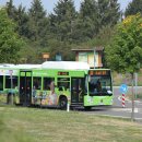 Lieber mit dem Bus in den Nationalpark fahren: Am Karfreitag starten die Freizeitlinien in der Nationalparkregion Eifel in die Saison.