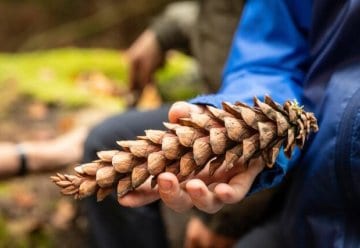 Lust auf freiwilliges Engagement in der Natur?