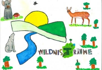 Mal Dir Deine „Wildnis(t)räume“ - Coole Waldtiere im Nationalpark Eifel 